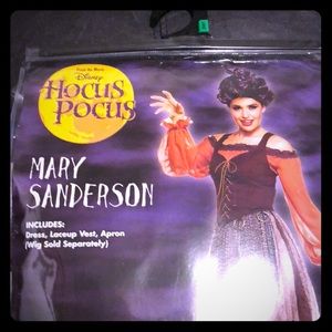 Mary Sanderson Hocus Pocus Costume